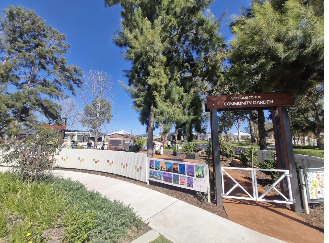 Wide view of the orchard
